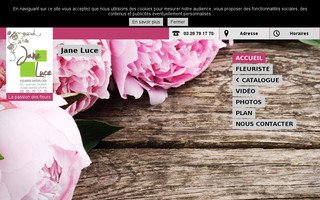 janeluce.com website preview