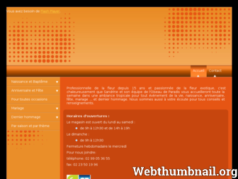 fleuriste-oiseaudeparadis.com website preview