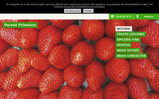 parent-primeurs.com website preview