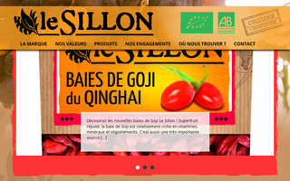 lesillonfruitsec.fr website preview