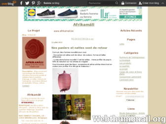 afrikamatonge.over-blog.com website preview