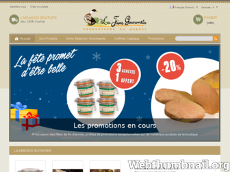 les-fins-gourmets.com website preview