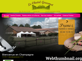 chatel-gourmet.com website preview