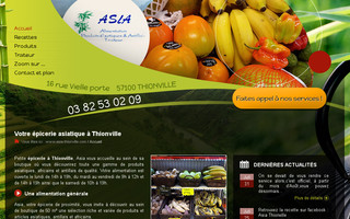 asia-thionville.com website preview