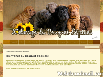 sharpei-epices.fr website preview