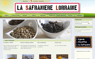 la-safraniere-lorraine.com website preview
