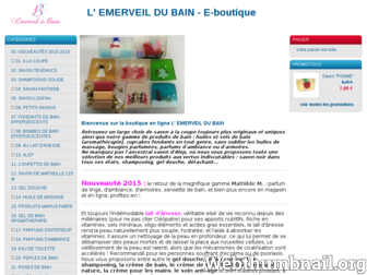 lemerveildubain.boutique.monwebpro.com website preview