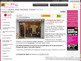 comptoirdujapon.fr website preview