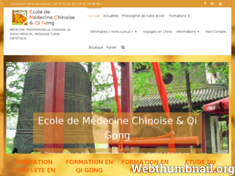 mtc-qigong.fr website preview