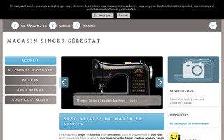 singer-bas-rhin.fr website preview