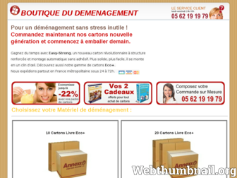 boutiquedudemenagement.com website preview