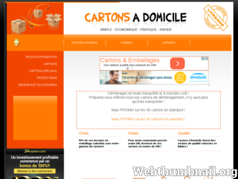 cartons-adom.com website preview
