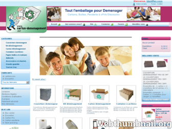 carton-demenagement.net website preview