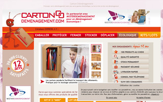 misterdemenagement.cartondemenagement.com website preview