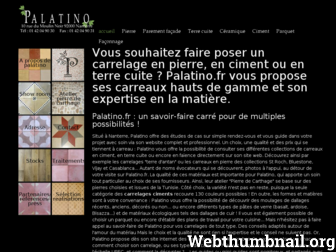 palatino.fr website preview
