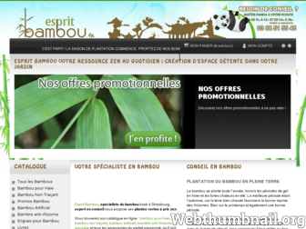 espritbambou.fr website preview