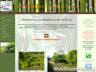 les-bambous-de-kerlilas.com website preview