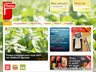 findus.fr website preview