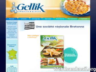 gellik-surgeles.fr website preview