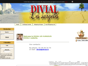 divial.fr website preview