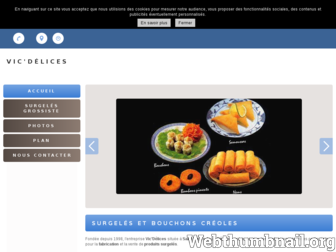 surgeles-vic-delices.fr website preview