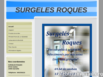 surgeles-roques.fr website preview