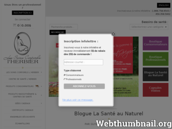 soinslherbier.com website preview