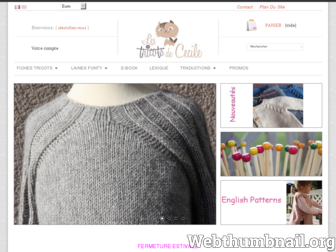 lestricotsdececile.com website preview