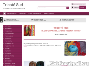 tricotesud.fr website preview