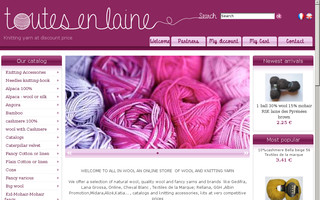toutesenlaine.com website preview