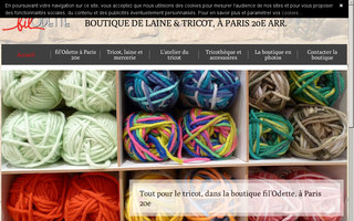 tricot-laine-paris20.fr website preview