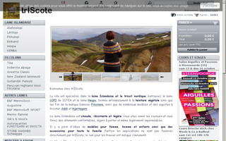 triscote.fr website preview