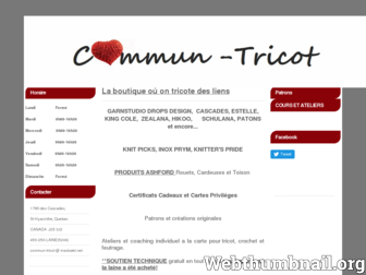 commun-tricot.com website preview