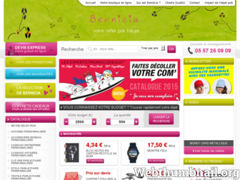 bernicia.fr website preview
