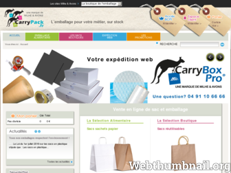 sacsetemballages.fr website preview