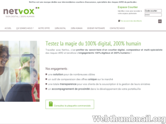 netvox-assurances.fr website preview