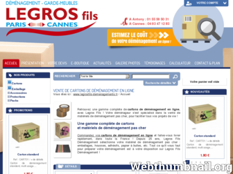 legrosfils-demenagements.fr website preview