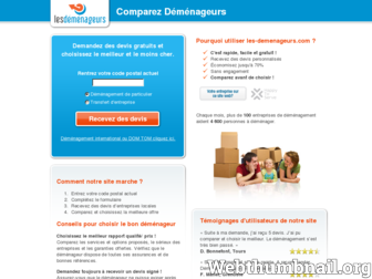 les-demenageurs.com website preview