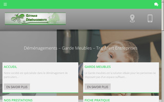 gatinais-demenagements.com website preview
