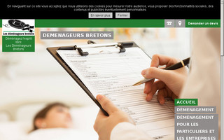 demenagements-augeron.fr website preview