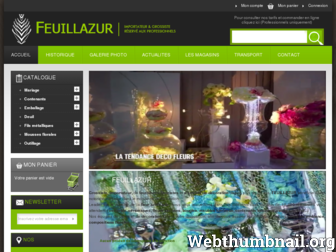 feuillazur.com website preview