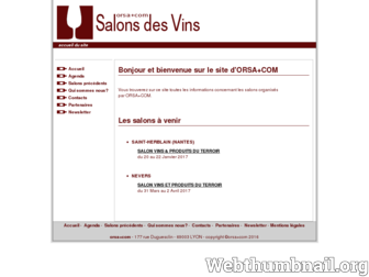 salons-des-vins.fr website preview