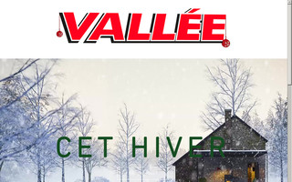 chemineesvallee.com website preview