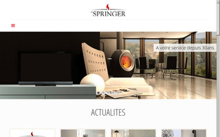 ets-springer.com website preview