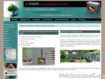 cashin-france.com website preview