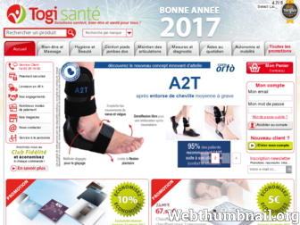 togi-sante.com website preview