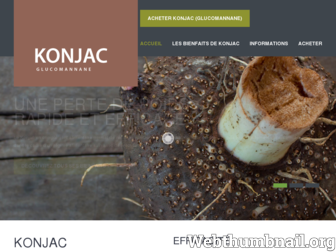 konjac-avis.fr website preview