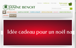 janinebenoit.com website preview