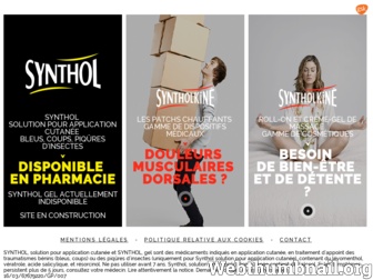 syntholkine.fr website preview