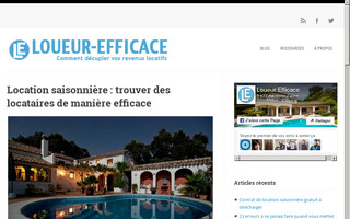 loueur-efficace.com website preview